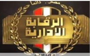 الرقابة الإدارية: ضبط تشكيل عابر للحدود سعى للاستيلاء على أموال شركة مصرية 