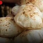 التفاصيل الكاملة لمنظومة الخبز الجديدة وسعر الرغيف الرسمي للمواطن